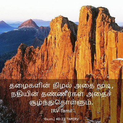 Picture 03 - யோபு 40:22 TAMIRV - தழைகளின் நிழல் - Bible Verse Picture