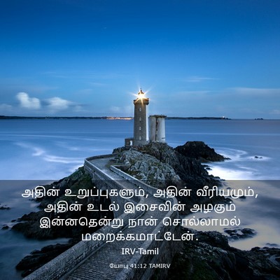 Picture 03 - யோபு 41:12 TAMIRV - அதின் - Bible Verse Picture