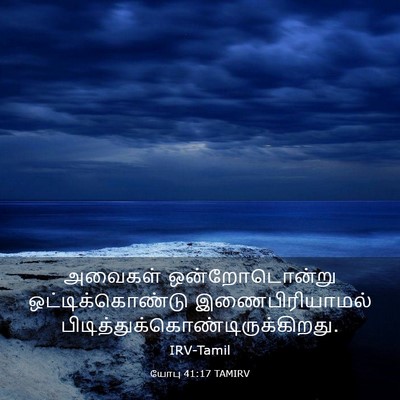 Picture 03 - யோபு 41:17 TAMIRV - அவைகள் - Bible Verse Picture