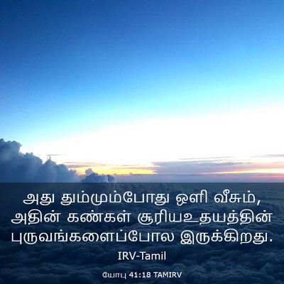 Picture 03 - யோபு 41:18 TAMIRV - அது தும்மும்போது - Bible Verse Picture