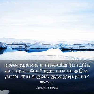 Picture 03 - யோபு 41:2 TAMIRV - அதின் மூக்கை - Bible Verse Picture