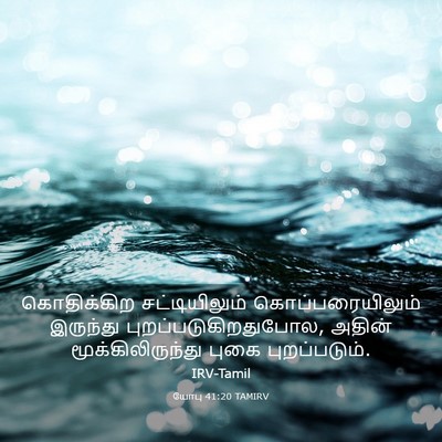 Picture 03 - யோபு 41:20 TAMIRV - கொதிக்கிற - Bible Verse Picture