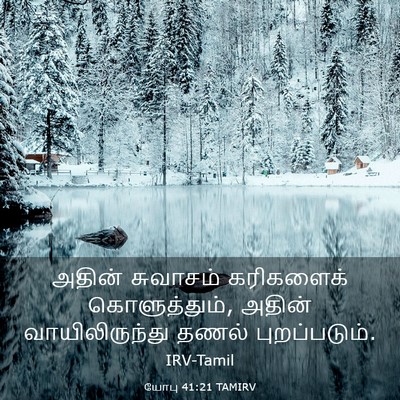 Picture 03 - யோபு 41:21 TAMIRV - அதின் சுவாசம் - Bible Verse Picture