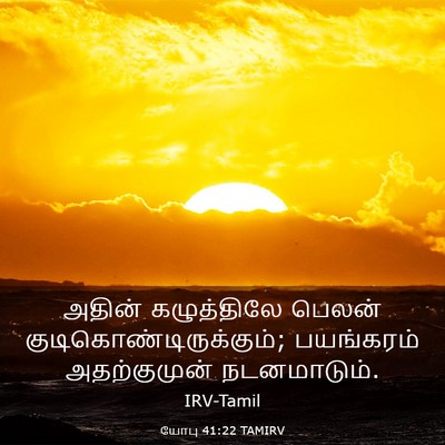 Picture 03 - யோபு 41:22 TAMIRV - அதின் கழுத்திலே - Bible Verse Picture