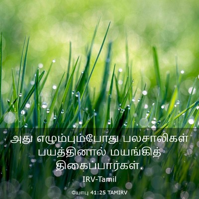 Picture 03 - யோபு 41:25 TAMIRV - அது எழும்பும்போது - Bible Verse Picture
