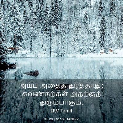 Picture 03 - யோபு 41:28 TAMIRV - அம்பு அதைத் - Bible Verse Picture