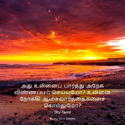 Picture 03 - யோபு 41:3 TAMIRV - அது உன்னைப் - Bible Verse Picture