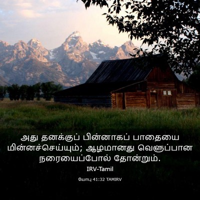 Picture 03 - யோபு 41:32 TAMIRV - அது தனக்குப் - Bible Verse Picture