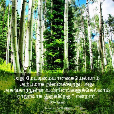 Picture 03 - யோபு 41:34 TAMIRV - அது - Bible Verse Picture
