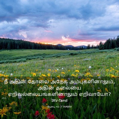 Picture 03 - யோபு 41:7 TAMIRV - நீ அதின் தோலை அநேக - Bible Verse Picture