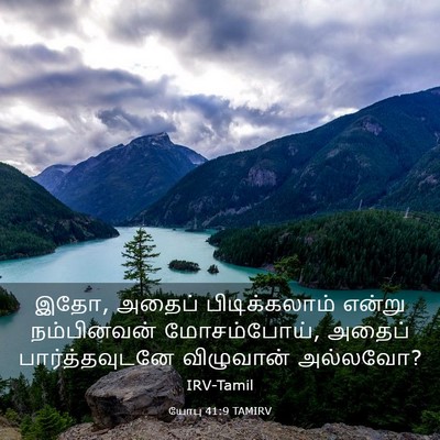 Picture 03 - யோபு 41:9 TAMIRV - இதோ, அதைப் - Bible Verse Picture