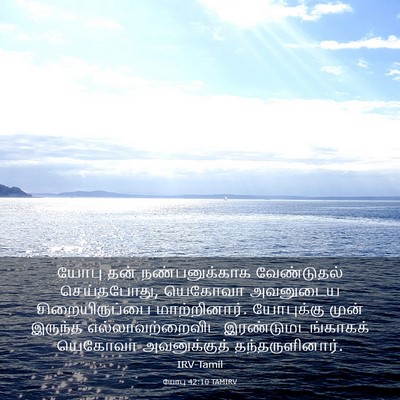 Picture 03 - யோபு 42:10 TAMIRV - யோபு தன் - Bible Verse Picture