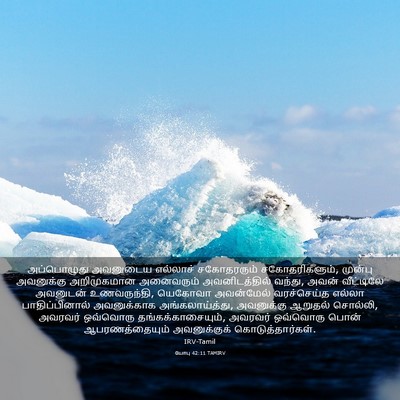 Picture 03 - யோபு 42:11 TAMIRV - அப்பொழுது அவனுடைய - Bible Verse Picture