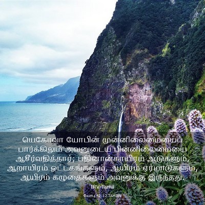 Picture 03 - யோபு 42:12 TAMIRV - யெகோவா யோபின் - Bible Verse Picture