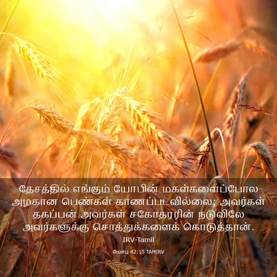 Picture 03 - யோபு 42:15 TAMIRV - தேசத்தில் எங்கும் - Bible Verse Picture