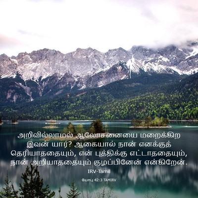 Picture 03 - யோபு 42:3 TAMIRV - அறிவில்லாமல் - Bible Verse Picture