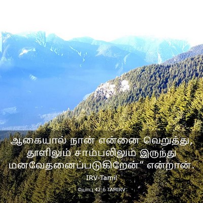 Picture 03 - யோபு 42:6 TAMIRV - ஆகையால் நான் - Bible Verse Picture