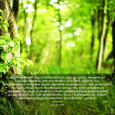 Picture 03 - யோபு 42:8 TAMIRV - ஆதலால் நீங்கள் - Bible Verse Picture