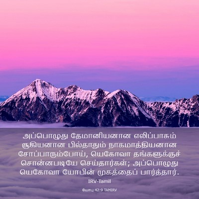 Picture 03 - யோபு 42:9 TAMIRV - அப்பொழுது - Bible Verse Picture