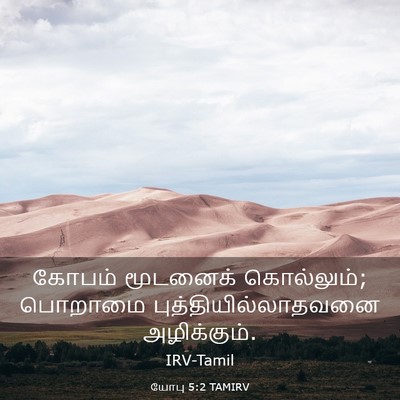Picture 03 - யோபு 5:2 TAMIRV - கோபம் மூடனைக் - Bible Verse Picture