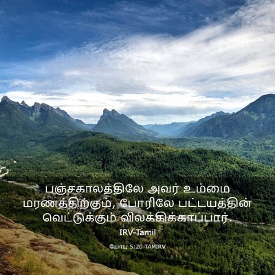 Picture 03 - யோபு 5:20 TAMIRV - பஞ்சகாலத்திலே - Bible Verse Picture