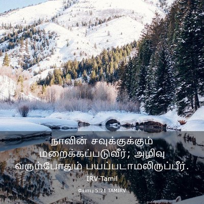 Picture 03 - யோபு 5:21 TAMIRV - நாவின் - Bible Verse Picture