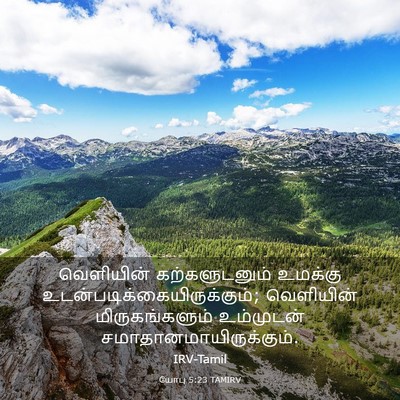 Picture 03 - யோபு 5:23 TAMIRV - வெளியின் - Bible Verse Picture