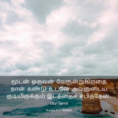 Picture 03 - யோபு 5:3 TAMIRV - மூடன் ஒருவன் - Bible Verse Picture