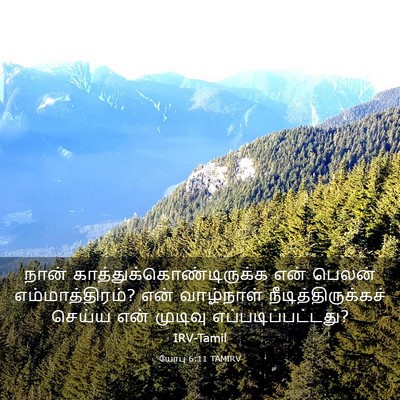 Picture 03 - யோபு 6:11 TAMIRV - நான் - Bible Verse Picture
