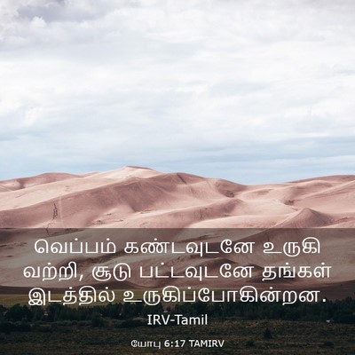 Picture 03 - யோபு 6:17 TAMIRV - வெப்பம் கண்டவுடனே - Bible Verse Picture