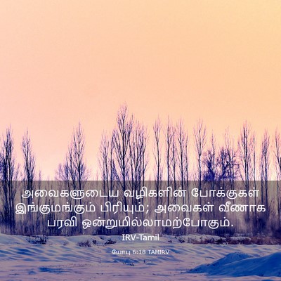 Picture 03 - யோபு 6:18 TAMIRV - அவைகளுடைய - Bible Verse Picture