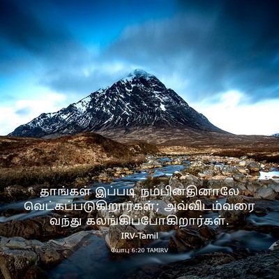 Picture 03 - யோபு 6:20 TAMIRV - தாங்கள் இப்படி - Bible Verse Picture