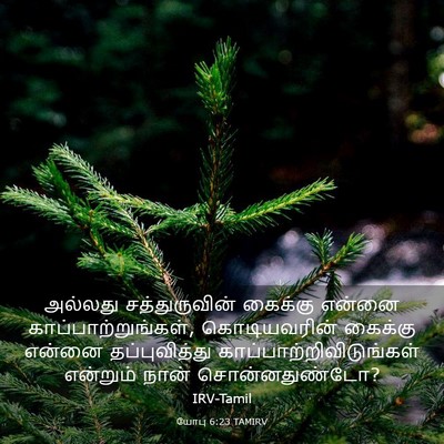 Picture 03 - யோபு 6:23 TAMIRV - அல்லது - Bible Verse Picture