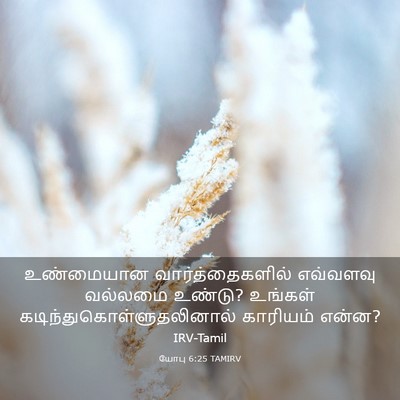 Picture 03 - யோபு 6:25 TAMIRV - உண்மையான - Bible Verse Picture