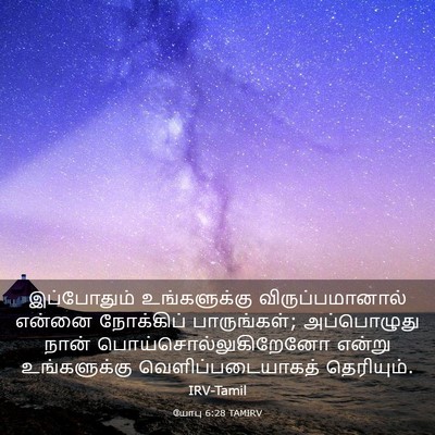 Picture 03 - யோபு 6:28 TAMIRV - இப்போதும் - Bible Verse Picture