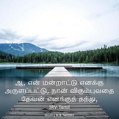 Picture 03 - யோபு 6:8 TAMIRV - ஆ, என் மன்றாட்டு - Bible Verse Picture