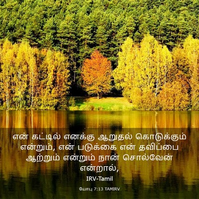 Picture 03 - யோபு 7:13 TAMIRV - என் கட்டில் - Bible Verse Picture