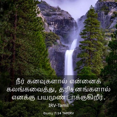 Picture 03 - யோபு 7:14 TAMIRV - நீர் கனவுகளால் - Bible Verse Picture