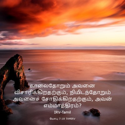 Picture 03 - யோபு 7:18 TAMIRV - காலைதோறும் அவனை - Bible Verse Picture
