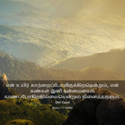 Picture 03 - யோபு 7:7 TAMIRV - என் உயிர் - Bible Verse Picture
