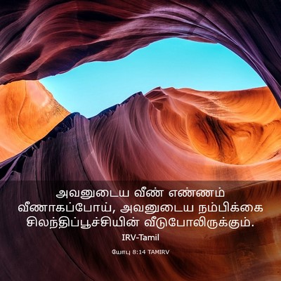 Picture 03 - யோபு 8:14 TAMIRV - அவனுடைய வீண் - Bible Verse Picture