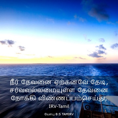 Picture 03 - யோபு 8:5 TAMIRV - நீர் தேவனை - Bible Verse Picture