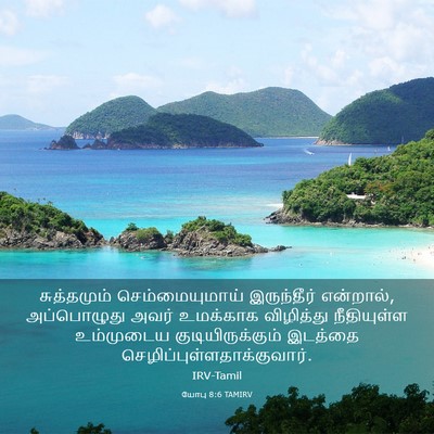 Picture 03 - யோபு 8:6 TAMIRV - சுத்தமும் - Bible Verse Picture
