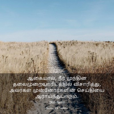 Picture 03 - யோபு 8:8 TAMIRV - ஆகையால், நீர் - Bible Verse Picture