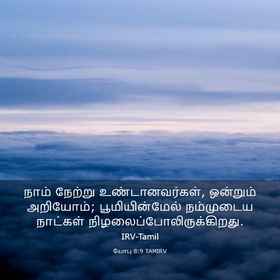 Picture 03 - யோபு 8:9 TAMIRV - நாம் நேற்று - Bible Verse Picture