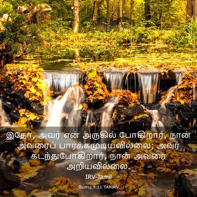 Picture 03 - யோபு 9:11 TAMIRV - இதோ, அவர் என் - Bible Verse Picture