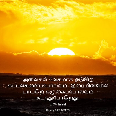 Picture 03 - யோபு 9:26 TAMIRV - அவைகள் வேகமாக - Bible Verse Picture