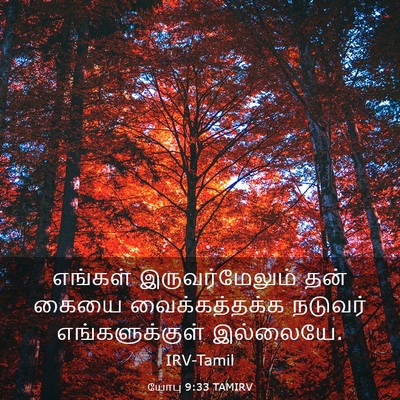 Picture 03 - யோபு 9:33 TAMIRV - எங்கள் - Bible Verse Picture