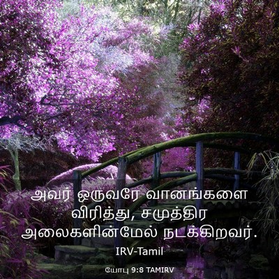 Picture 03 - யோபு 9:8 TAMIRV - அவர் ஒருவரே - Bible Verse Picture