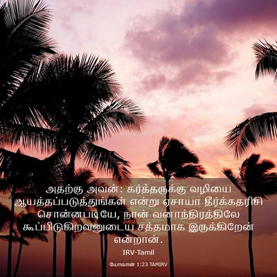 Picture 03 - யோவான் 1:23 TAMIRV - அதற்கு அவன்: - Bible Verse Picture
